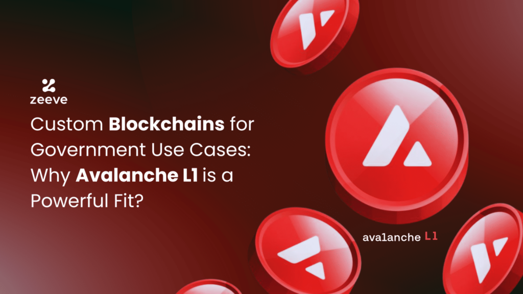 Custom Blockchains for Government Use Cases